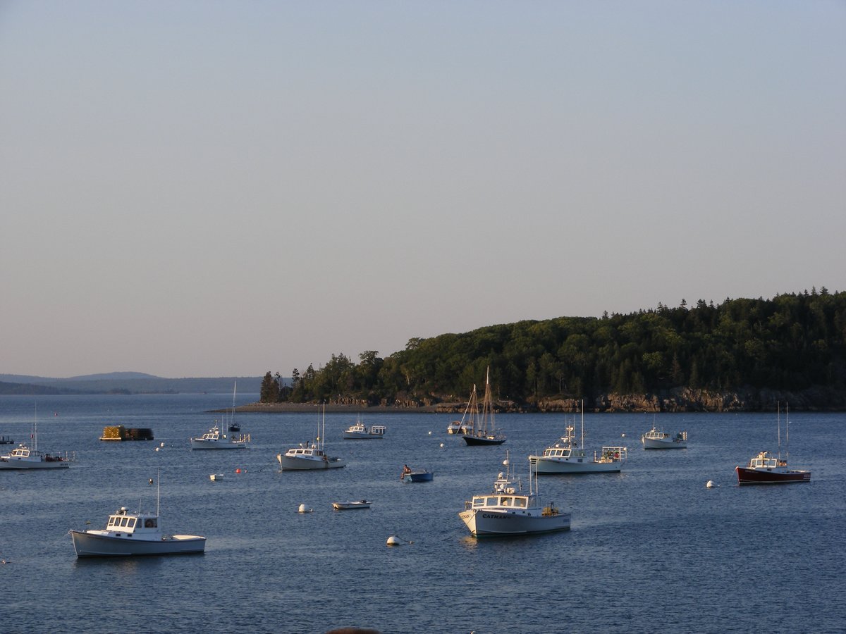 n_bar_harbor (23).jpg